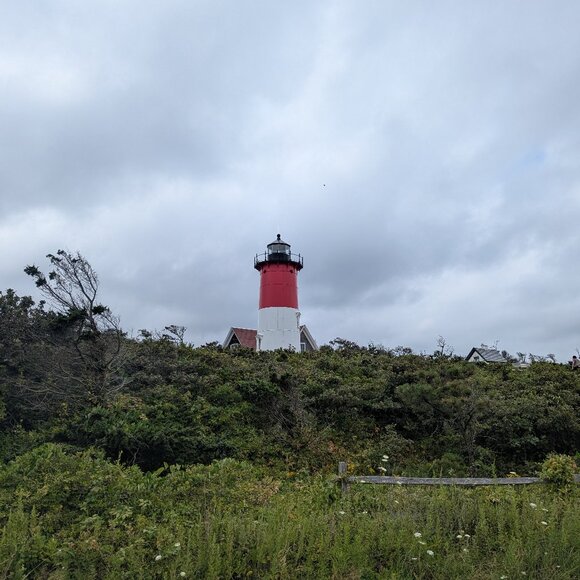 Meet your Posher, Randi - Picture 1 of 1